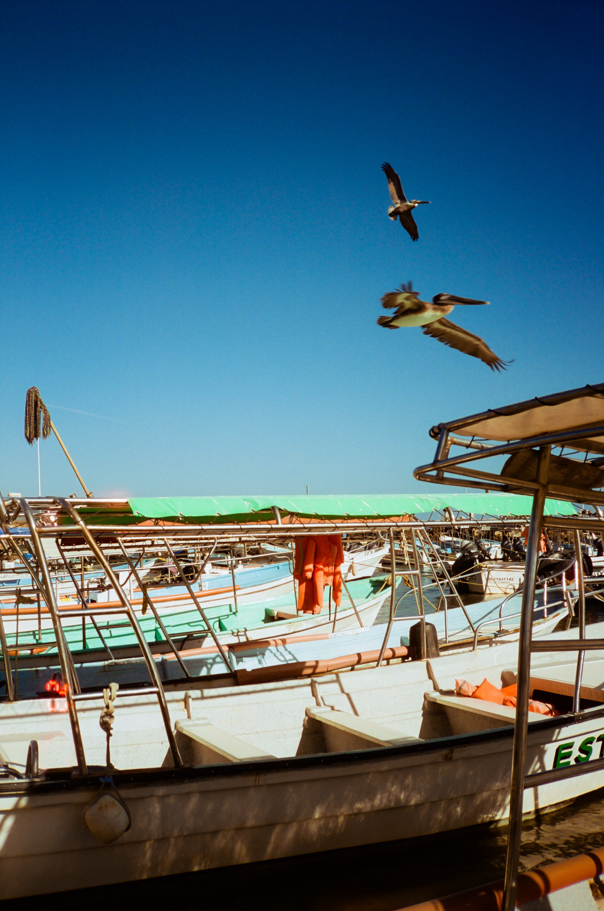 mexico-photo-trip-2024-nylonsaddle-cinestill-50-15.jpg