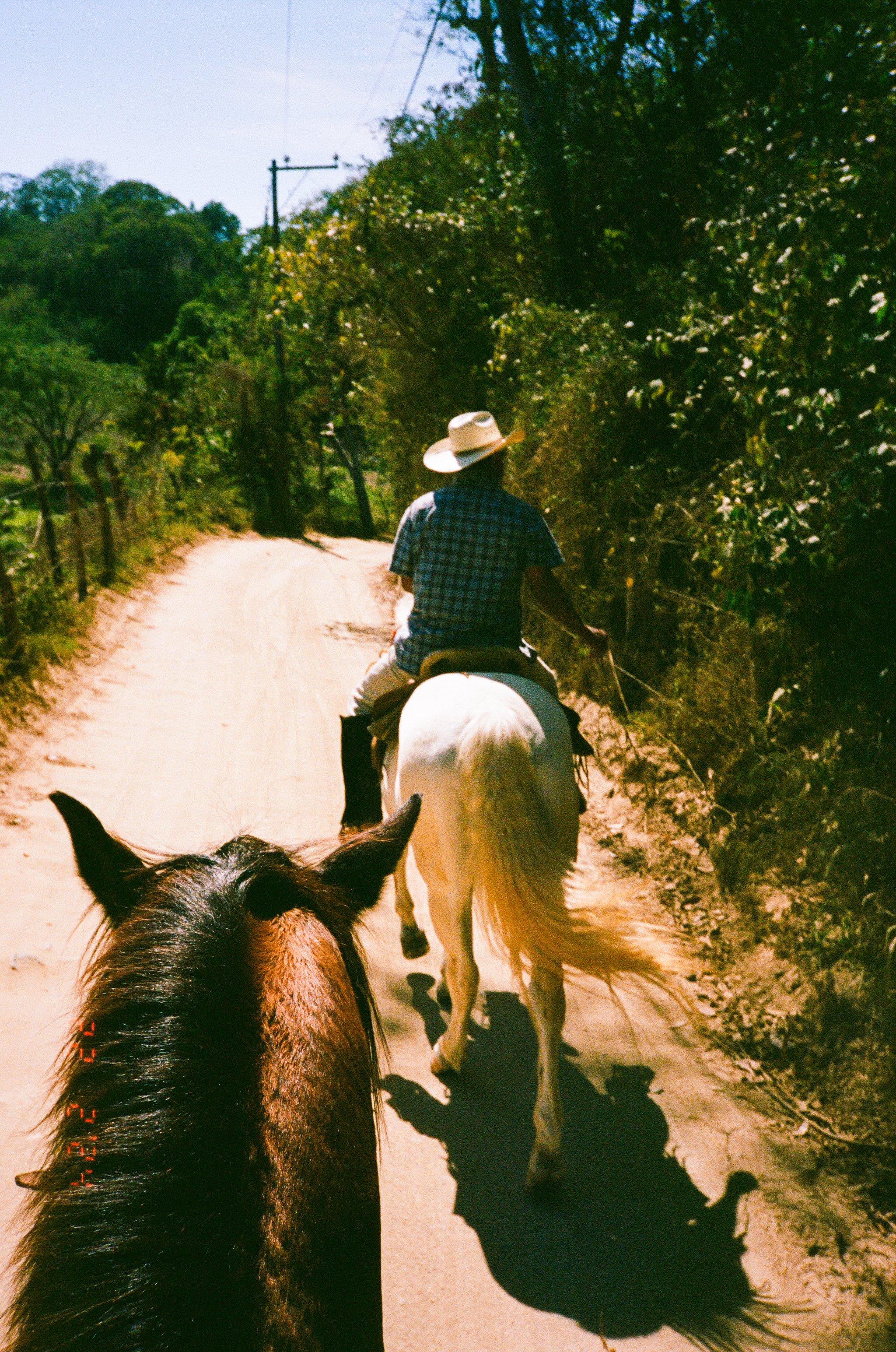 mexico-photo-trip-2024-nylonsaddle-portra-400-37.jpg