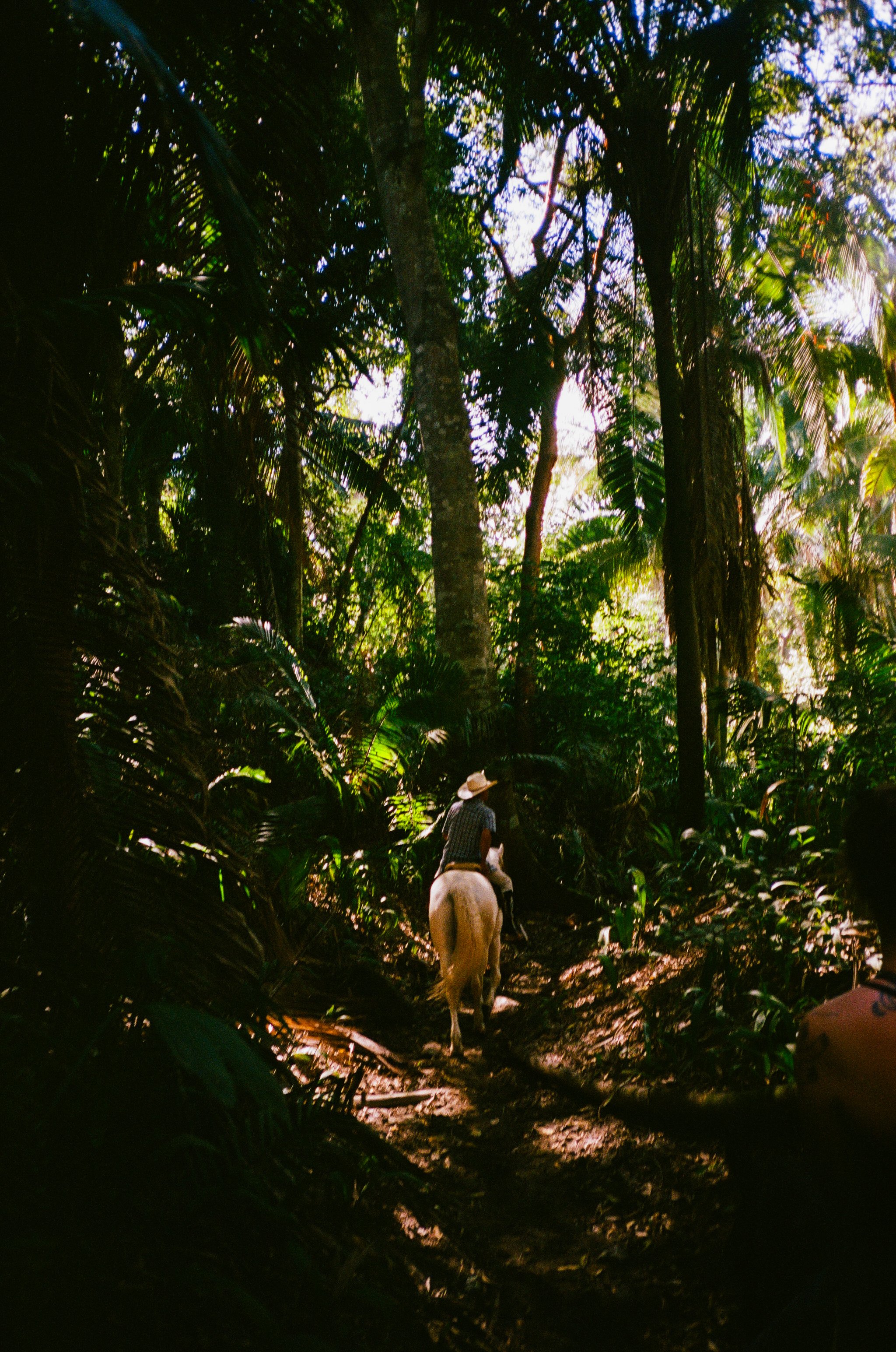 mexico-photo-trip-2024-nylonsaddle-portra-400-39.jpg