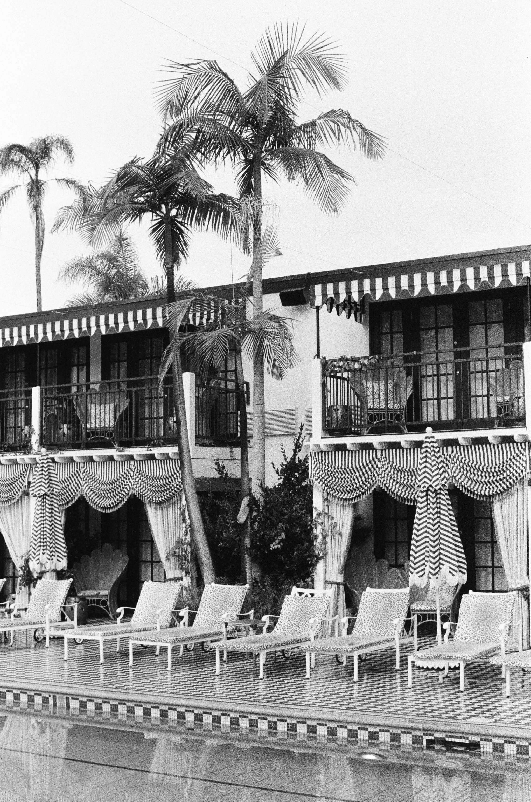 san-diego-x-nylonsaddle-analog-2025-318.jpg