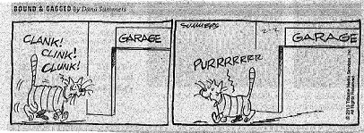  "I had to share this funny with you...see above. That is exactly how I feel before and after a treatment."