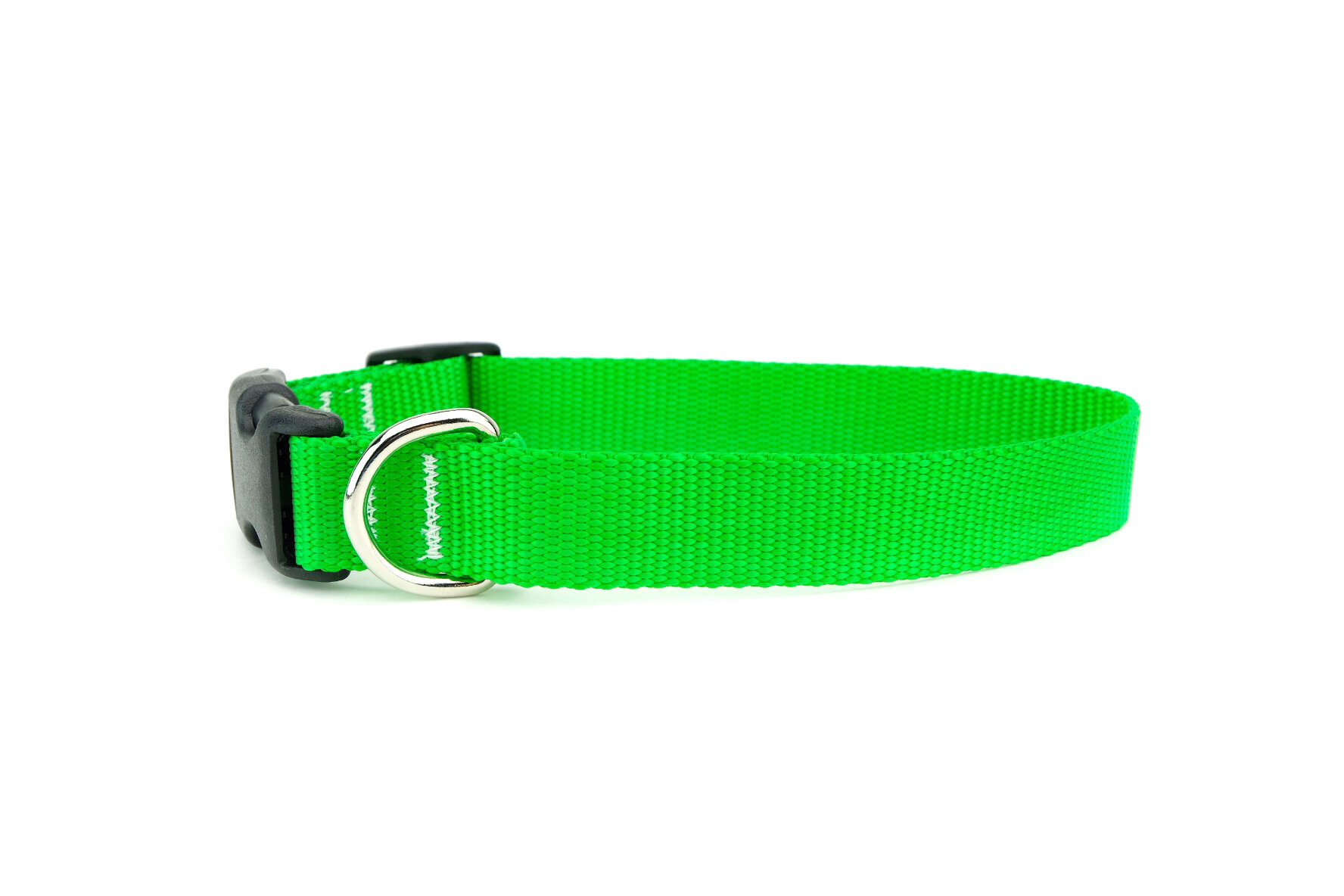 Neon Dog Collars — Shopdog Studios