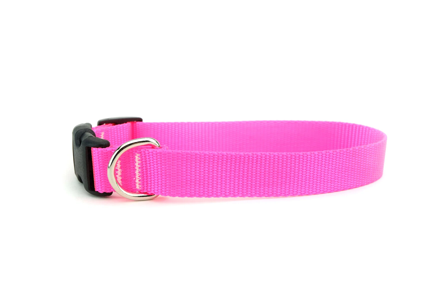 Dog Collars and Leashes — Shopdog Studios