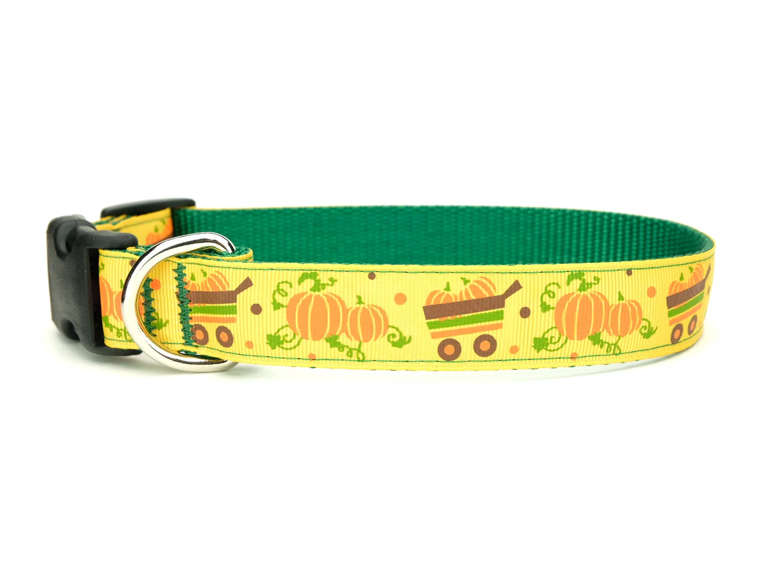 pumpkin dog collar