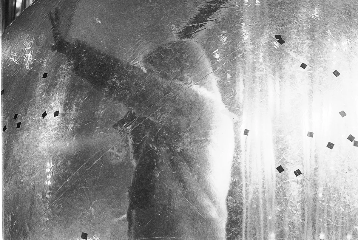 Flaming lips-3.jpg