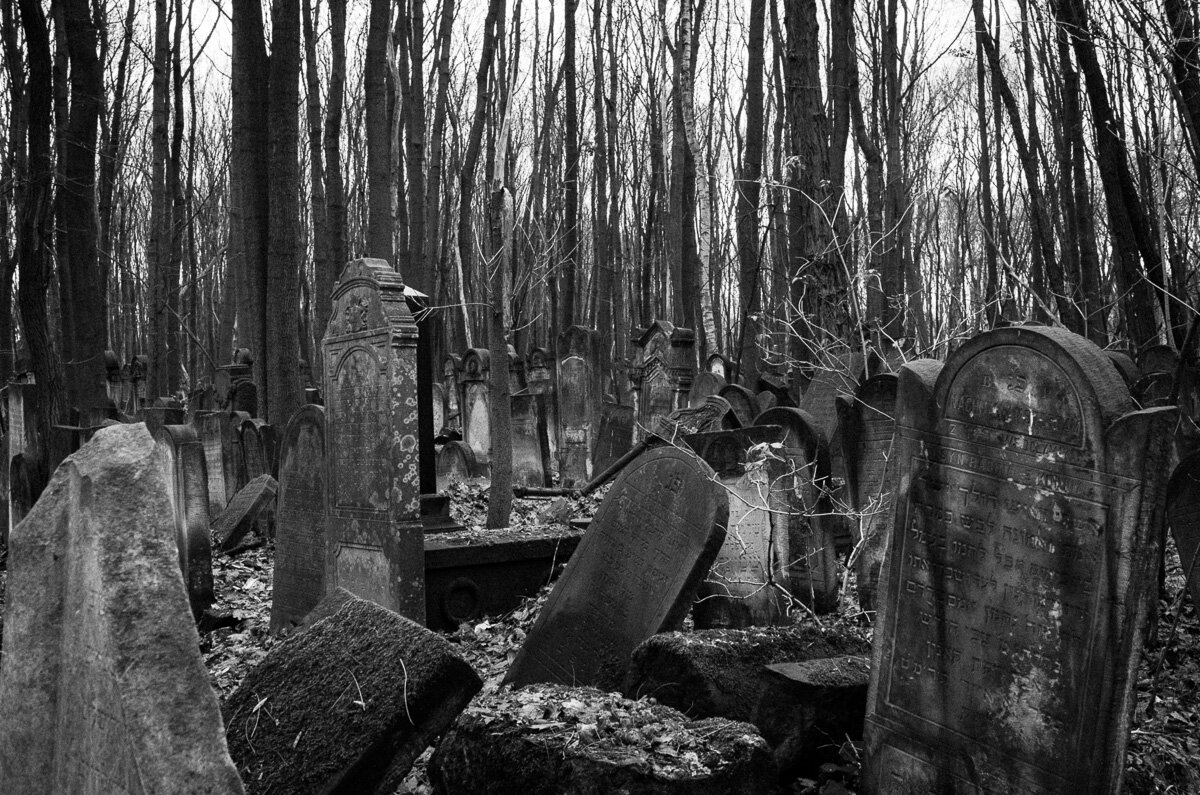 Jewish cemetery warsaw