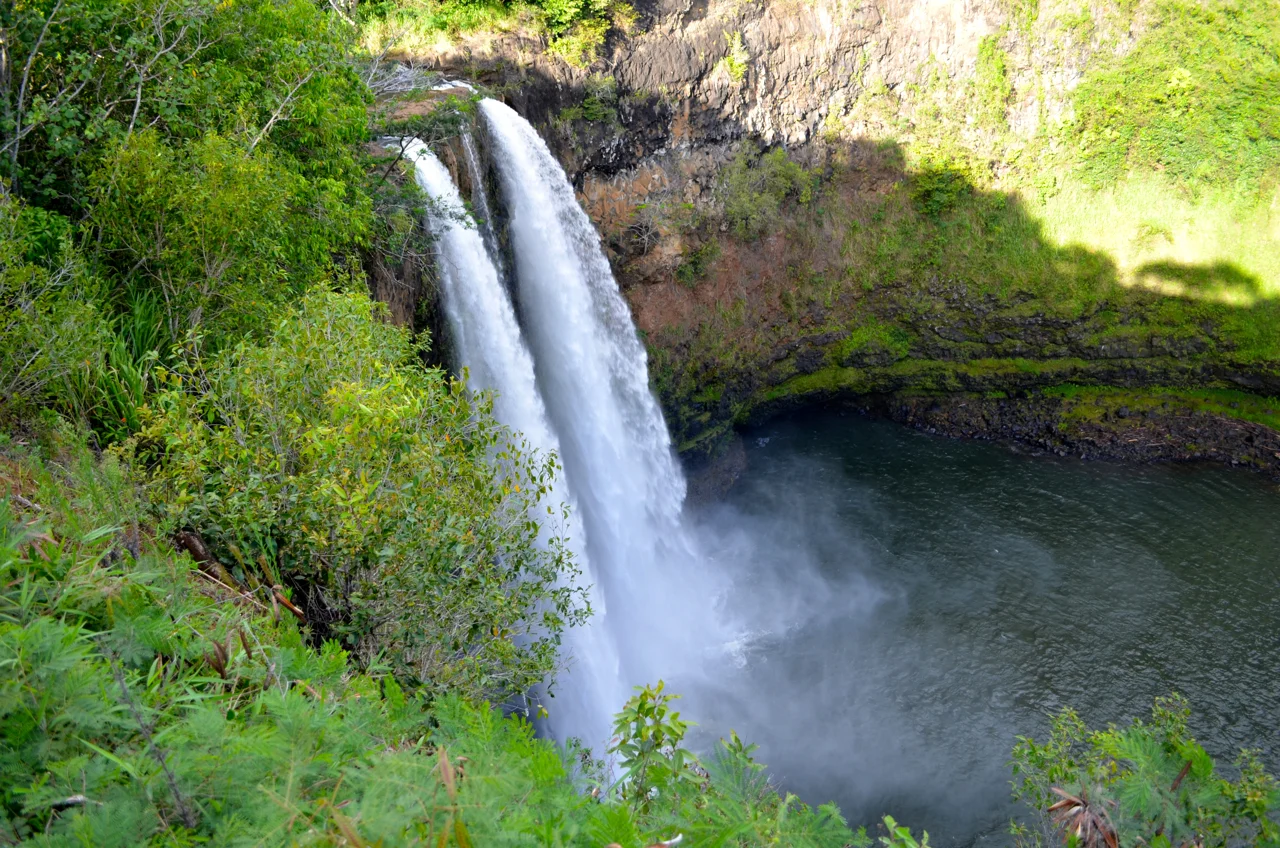 DSC_2959.jpg