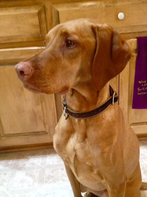 And Molly, the second place winner from our prize drawing.