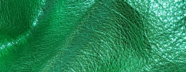 Metallic Kelly Green L52