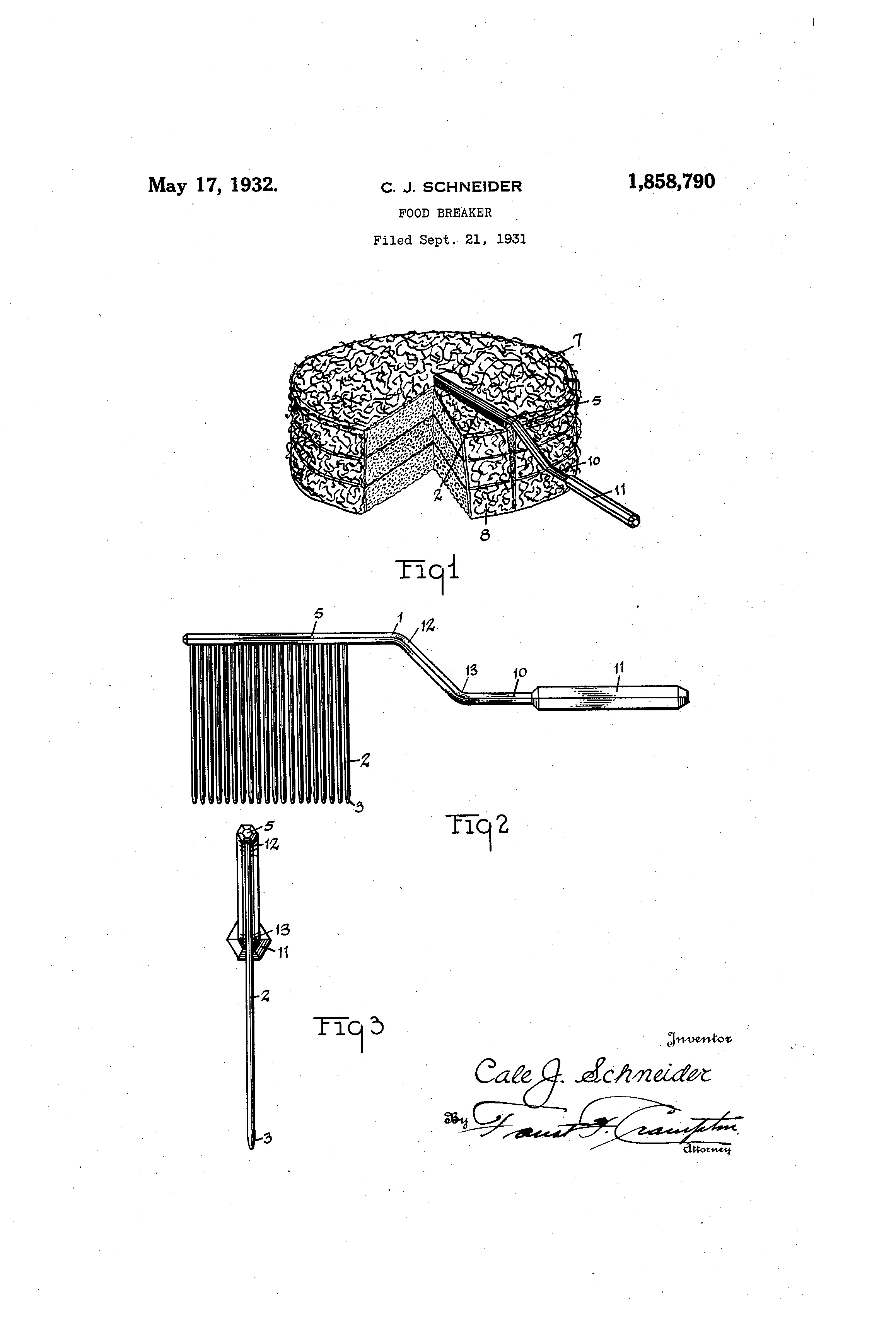 Click HERE to see the Food Breaker patent in its entireity