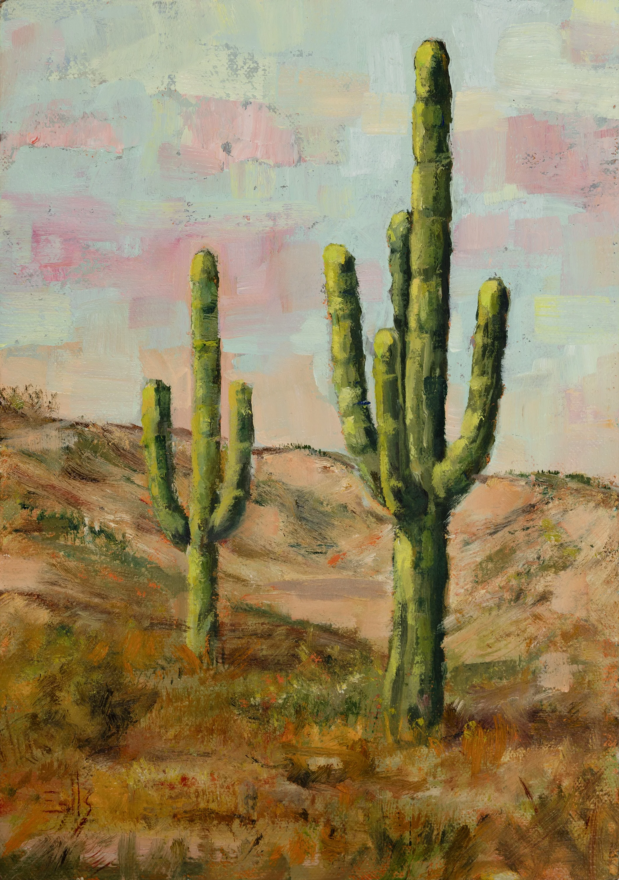 CaveCreekSaguaros_lr.jpg