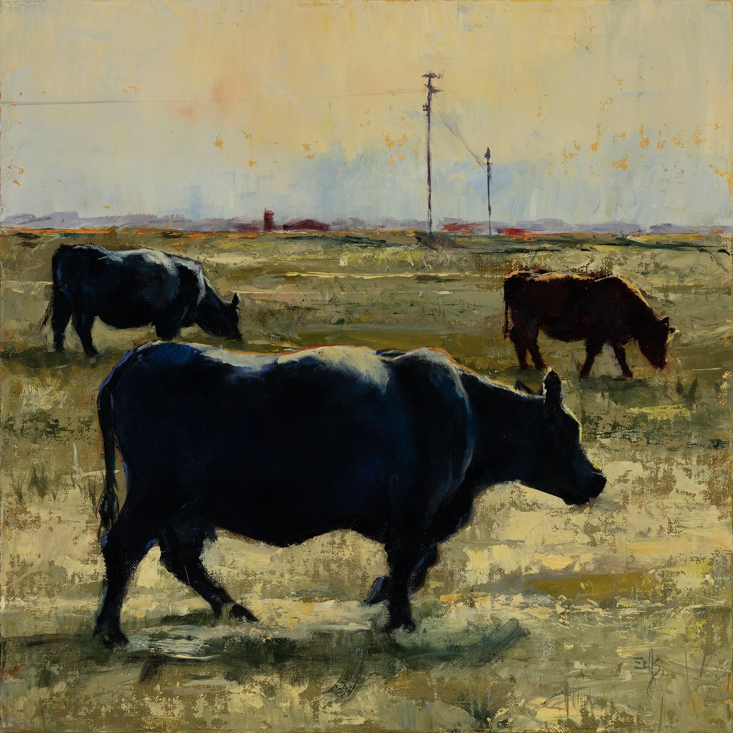 Cows-of-Upper-Bay-Arcata-Humboldt_lr.jpg