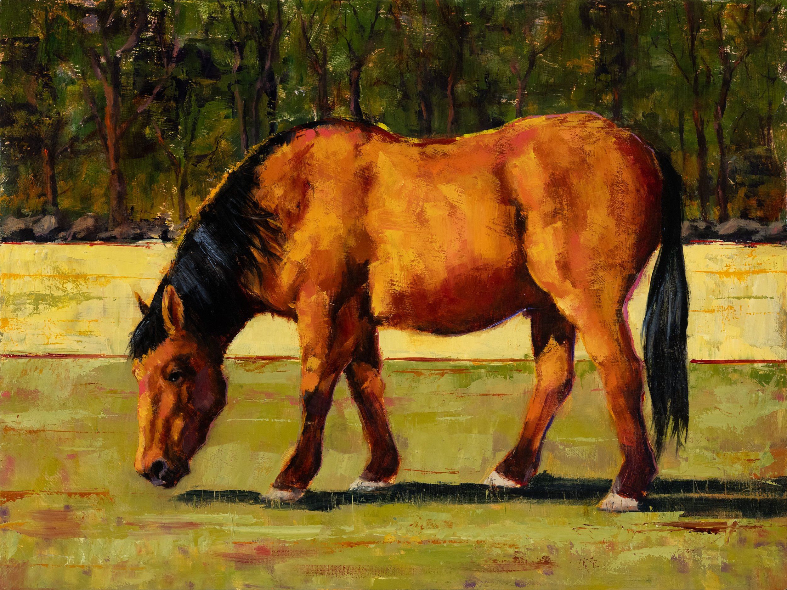 GrazingInWilliamsonValley_lr.jpg