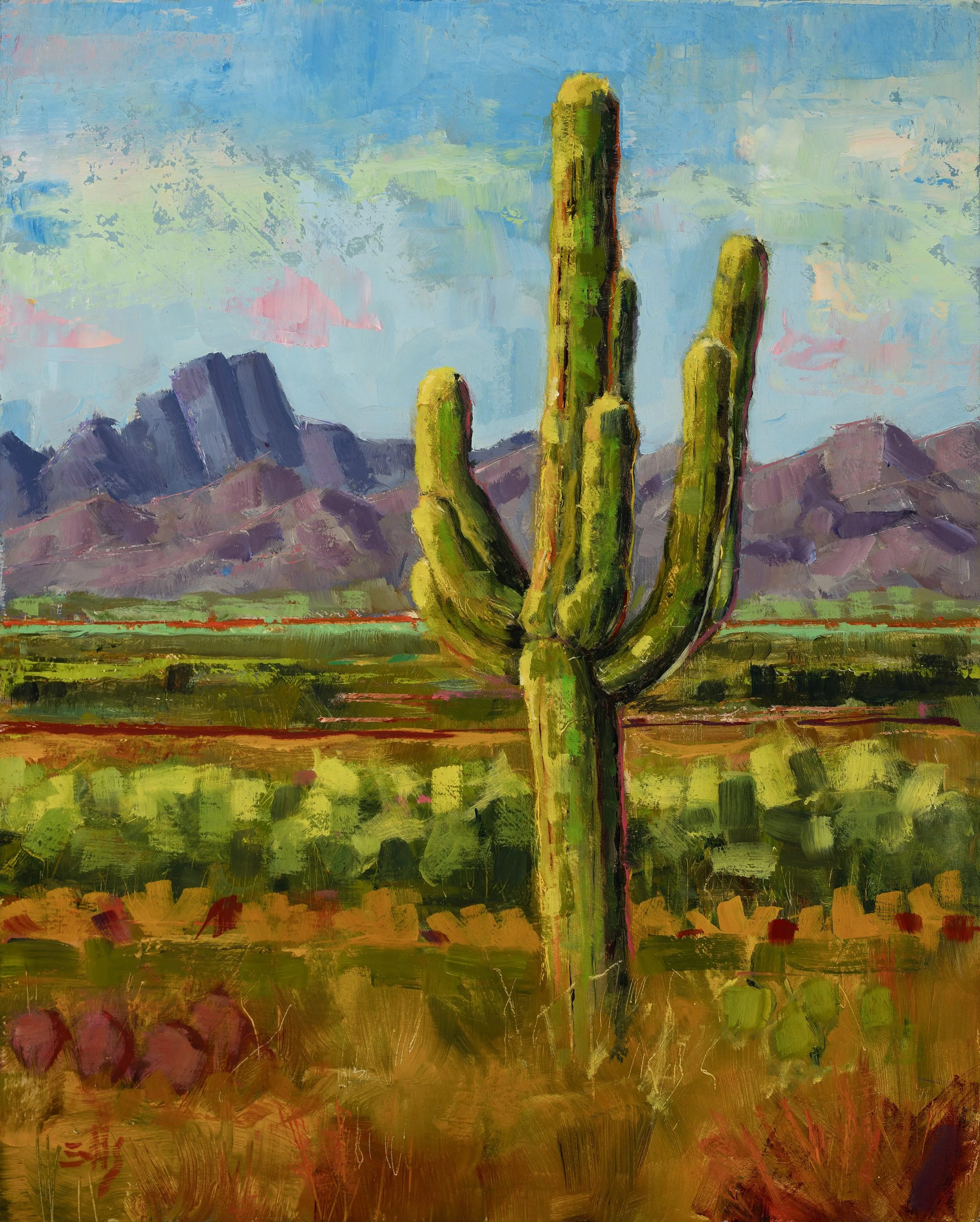 SaguaroAfternoon_lr.jpg