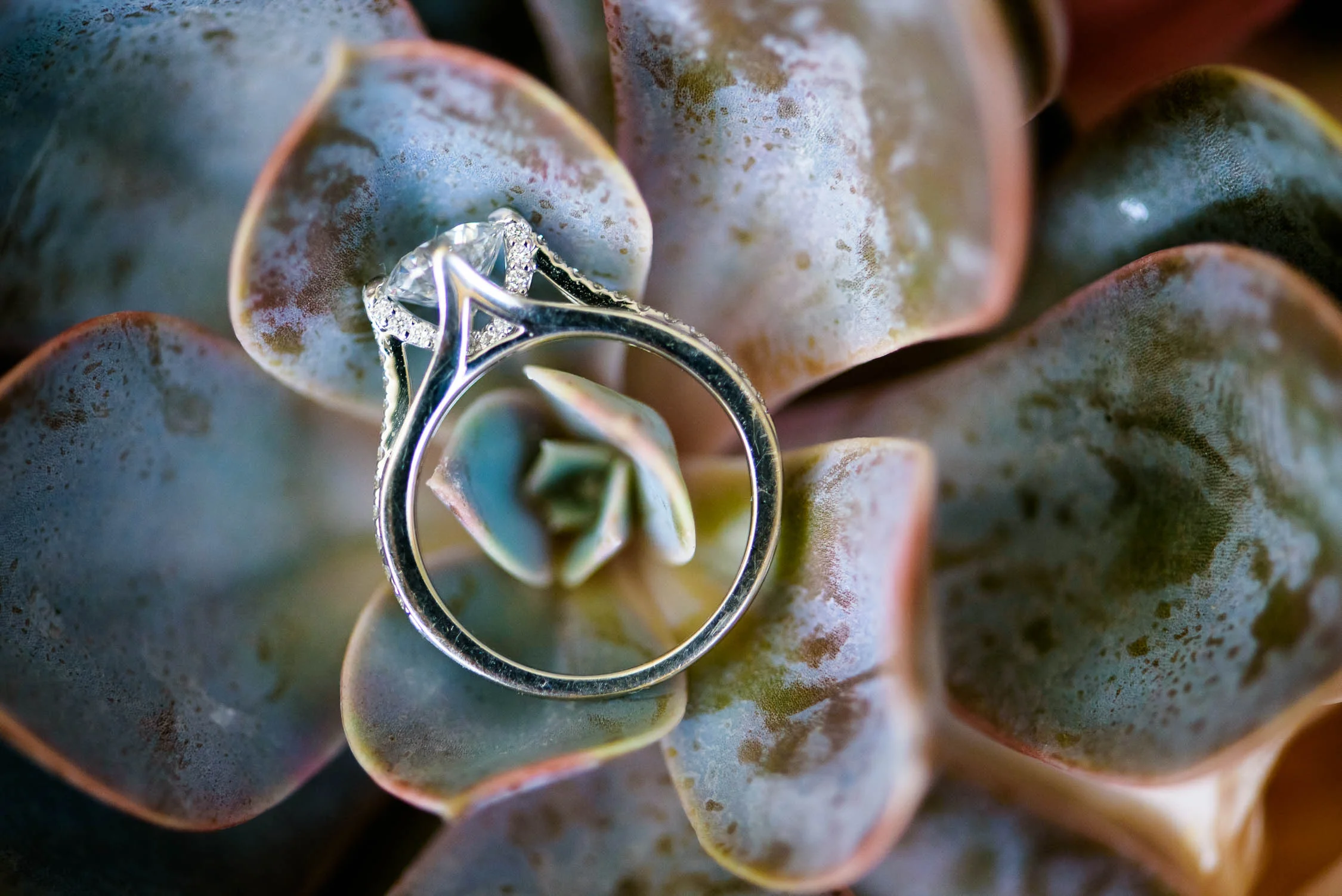 Wedding ring detail photo before a Bridgeport Art Center wedding in Chicago. 