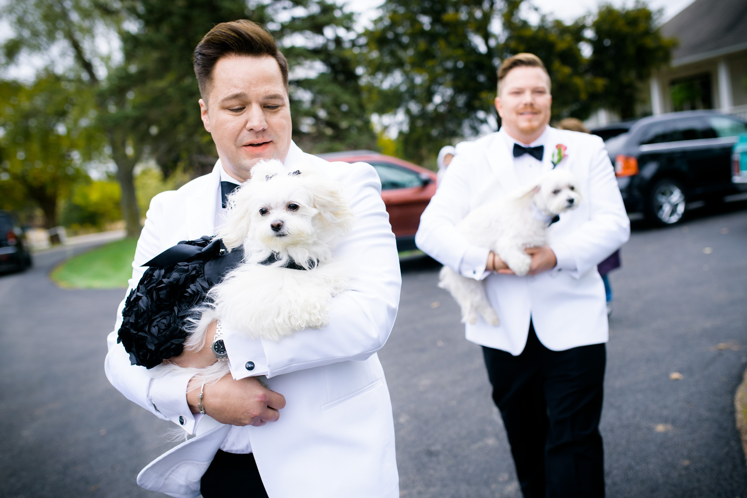 Grooms and their dogs during a same sex wedding at Heritage Prairie Farm.