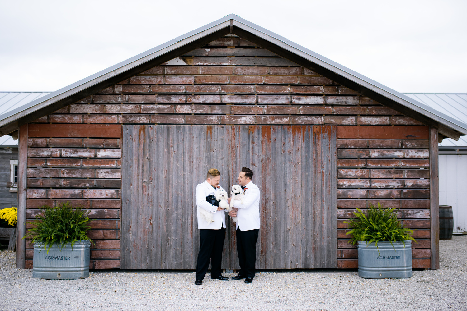 Grooms and their dogs during a same sex wedding at Heritage Prairie Farm.