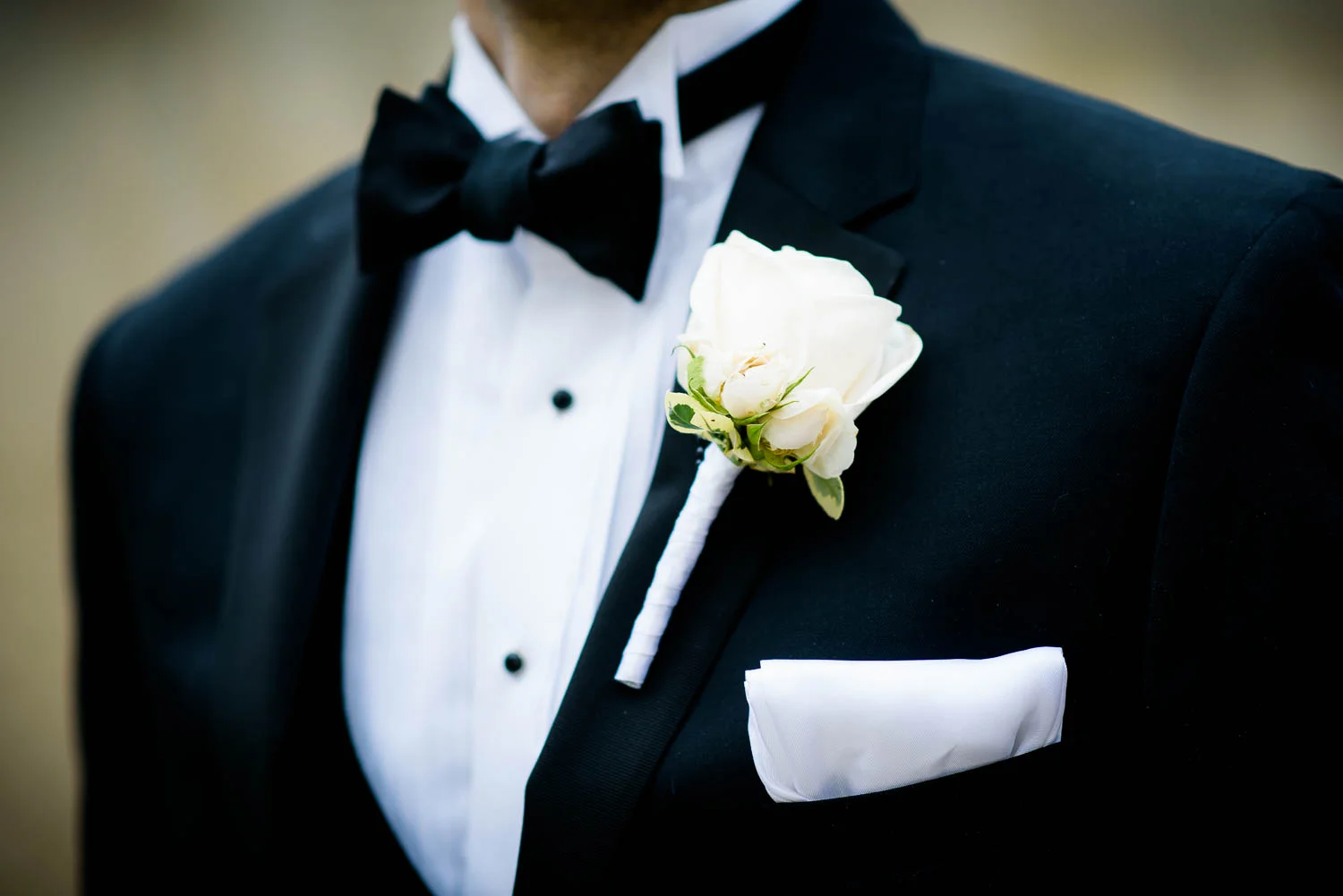 Art Institute of Chicago wedding.