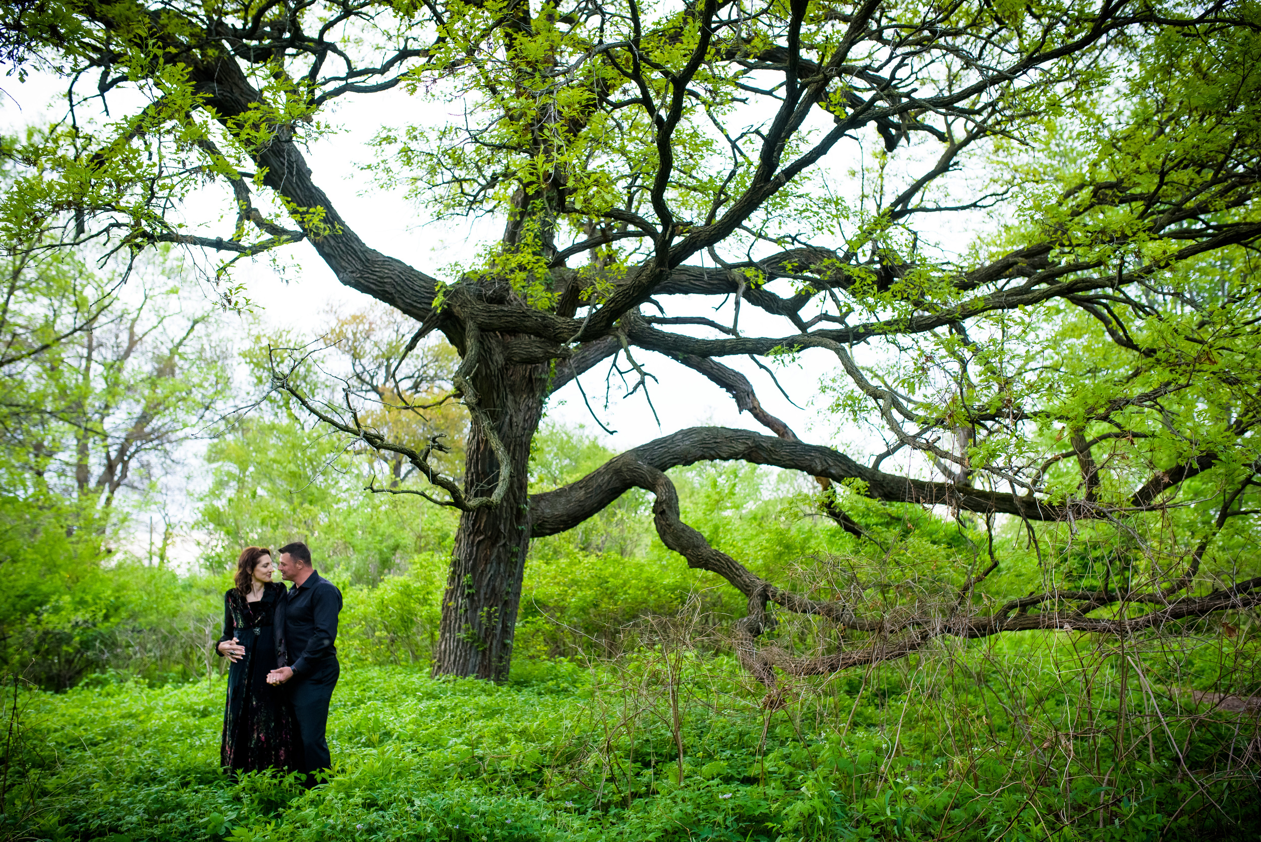 Wish Upon a Wedding Love Story for Rachel &amp; Alive, engagement session Chicago.