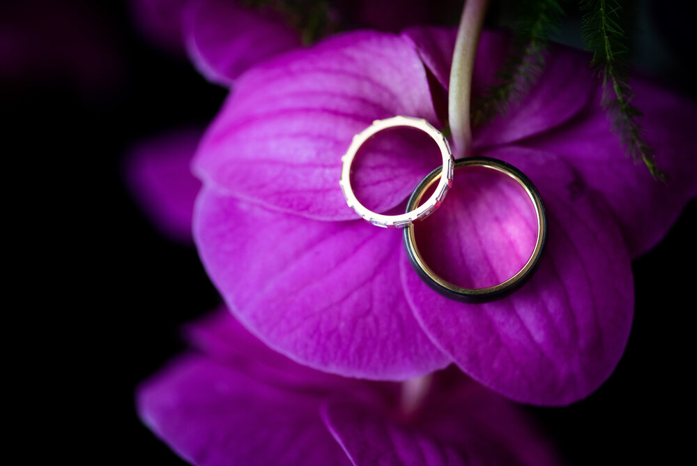 Adler Planetarium | Wedding Rings Photo | Chicago IL