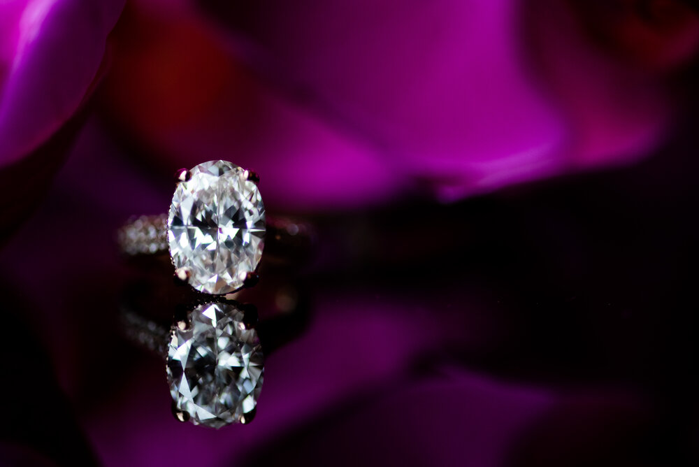 Adler Planetarium | Wedding Ring Photo | Chicago IL