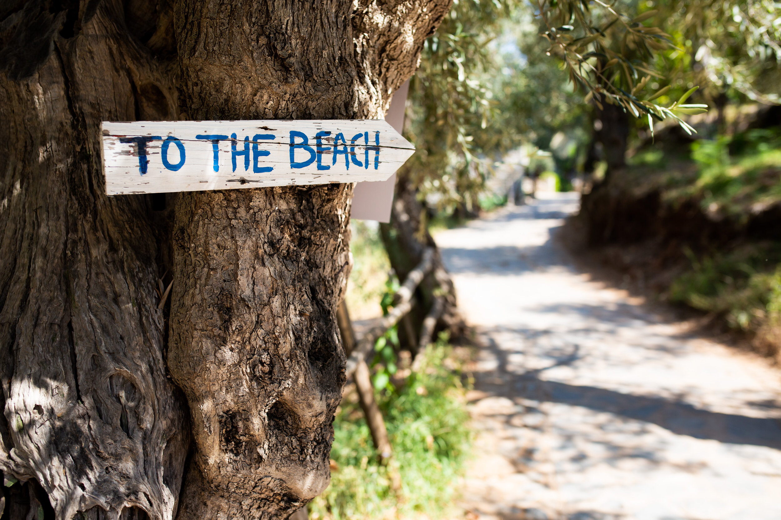 Fun travel photo from Damouchari, Greece:  photo of destination wedding in Greece by J. Brown Photography.