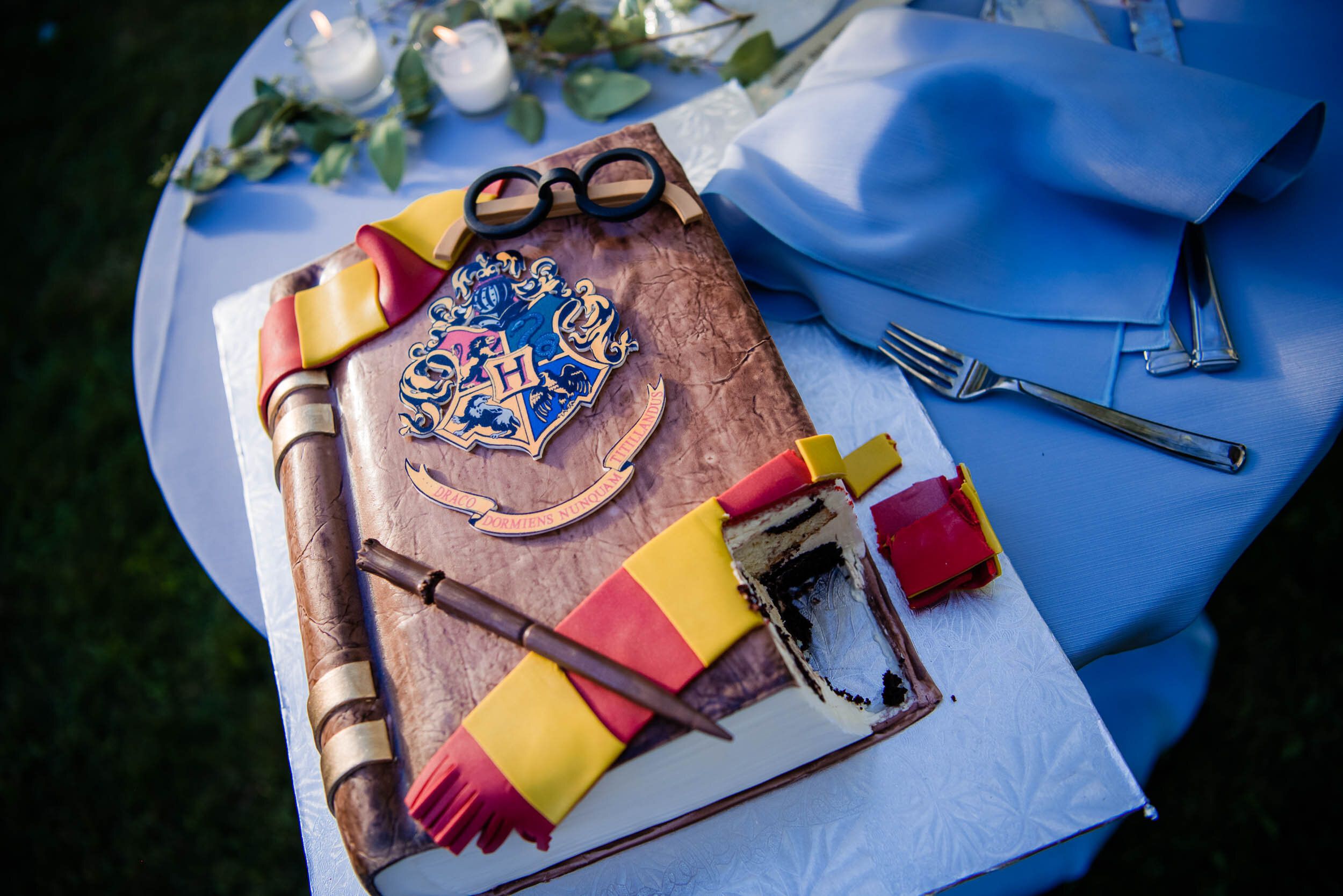 Harry Potter wedding cake at the reception:  Chicago backyard wedding photographed by J. Brown Photography.