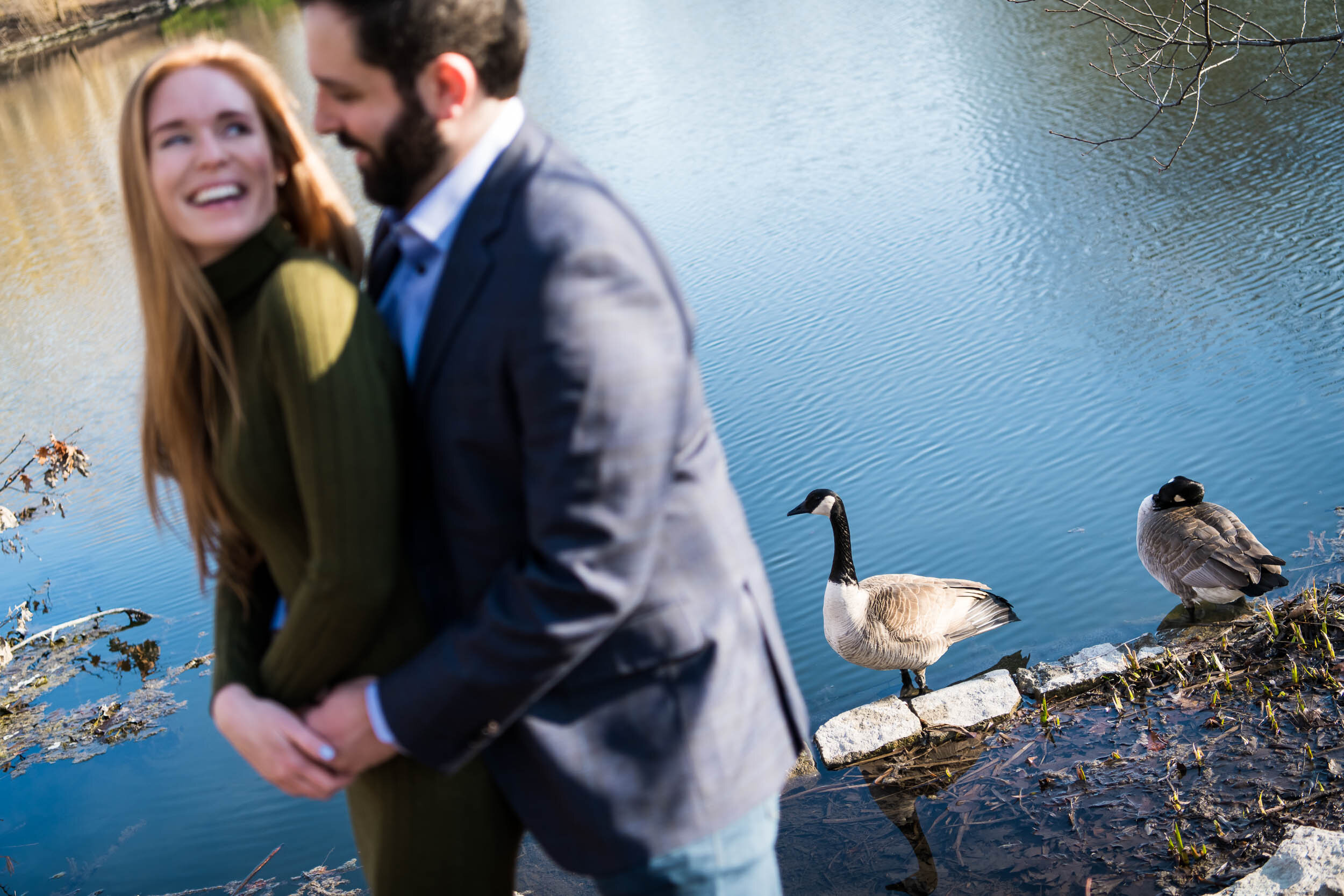 Funny photo of geese the the couple:  Chicago engagement photo by J. Brown Photography.