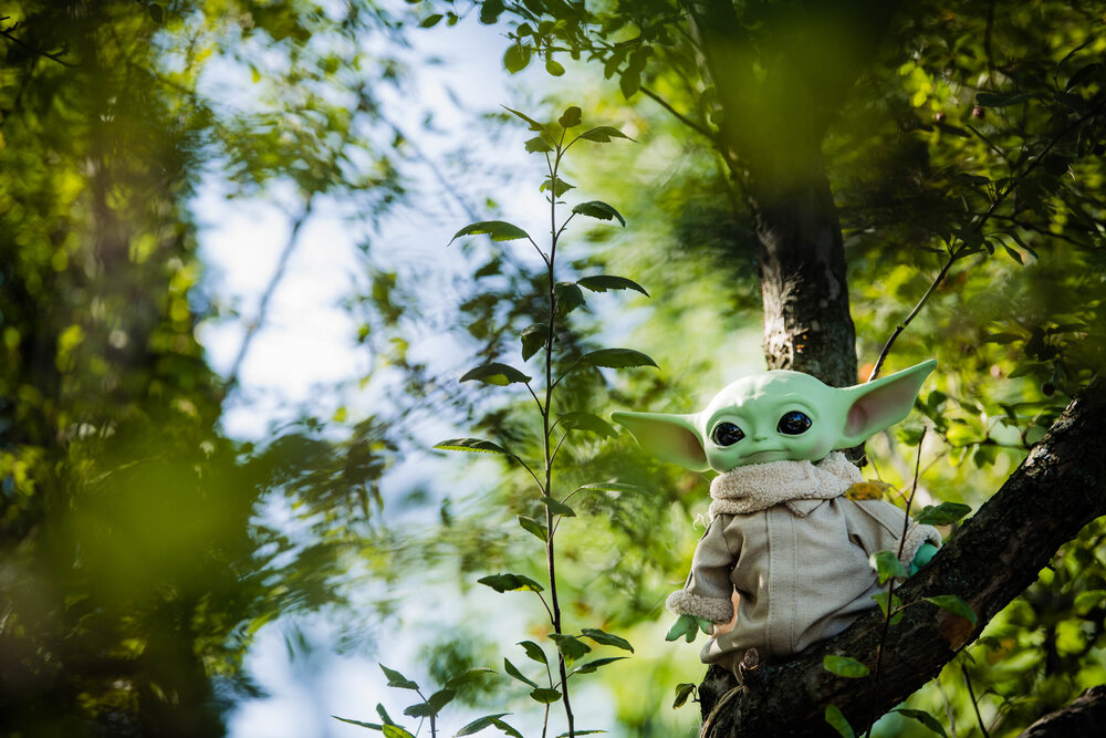 Baby Yoda hidden in the tree for a backyard wedding:  Chicago wedding photography by J. Brown Photography.