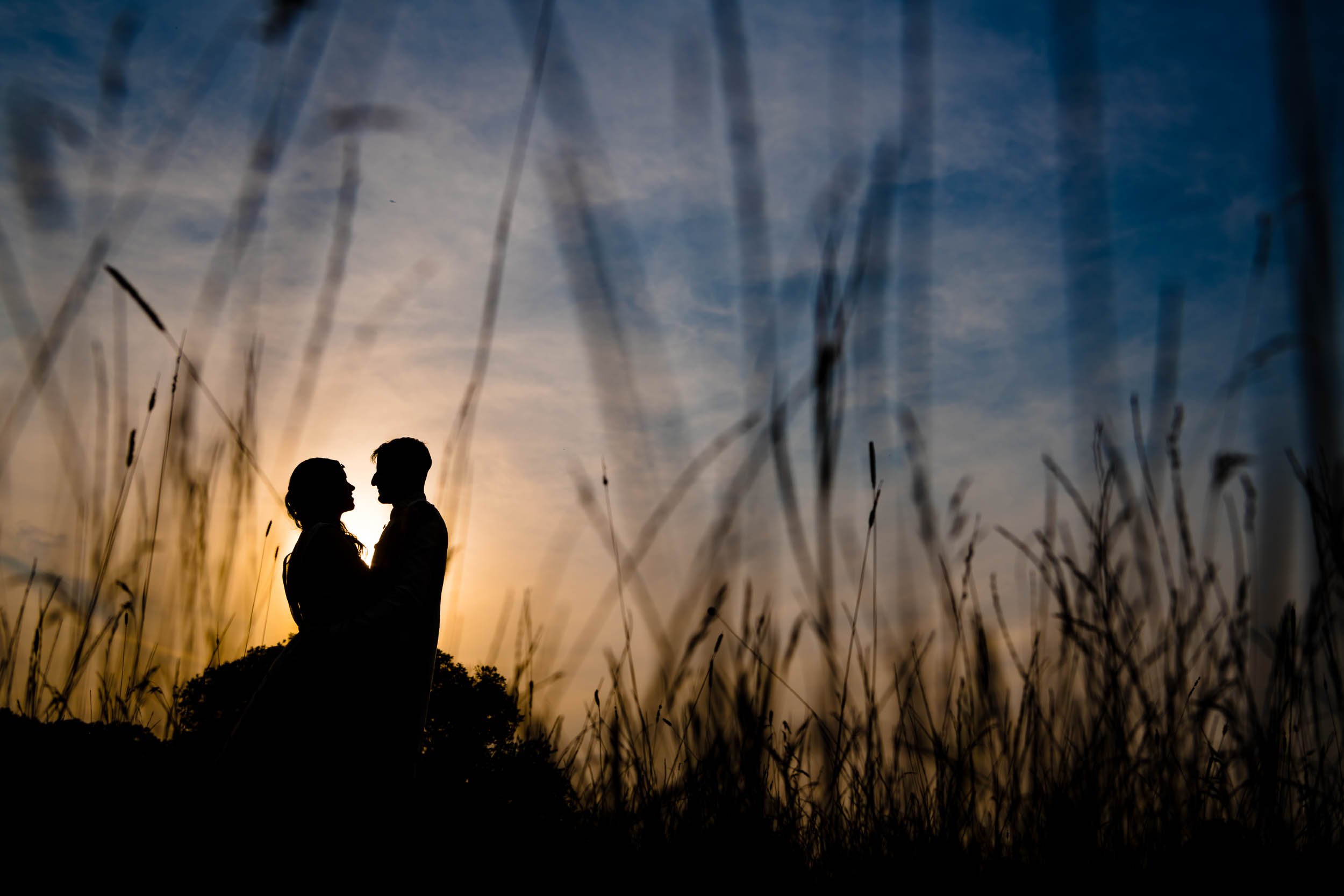 Cantigny Park | Sunset Silhouette Wedding Portrait | Chicago IL