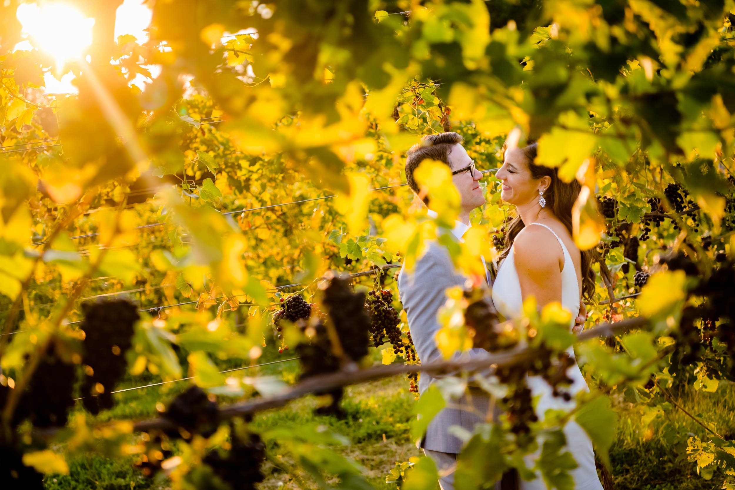 Tabor Hill Winery | Vineyard Wedding Portrait | Michigan