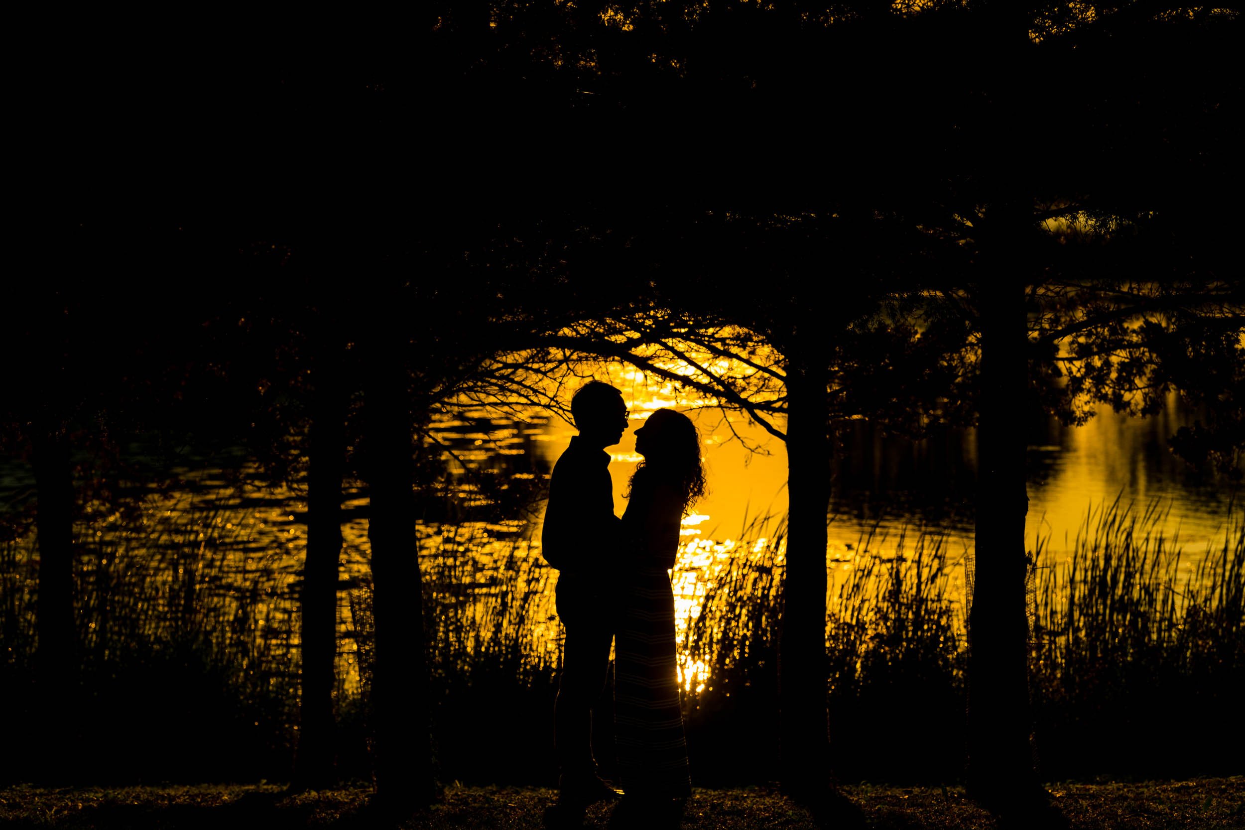 Independence Park | Silhouette Engagement Portrait | Libertyville IL