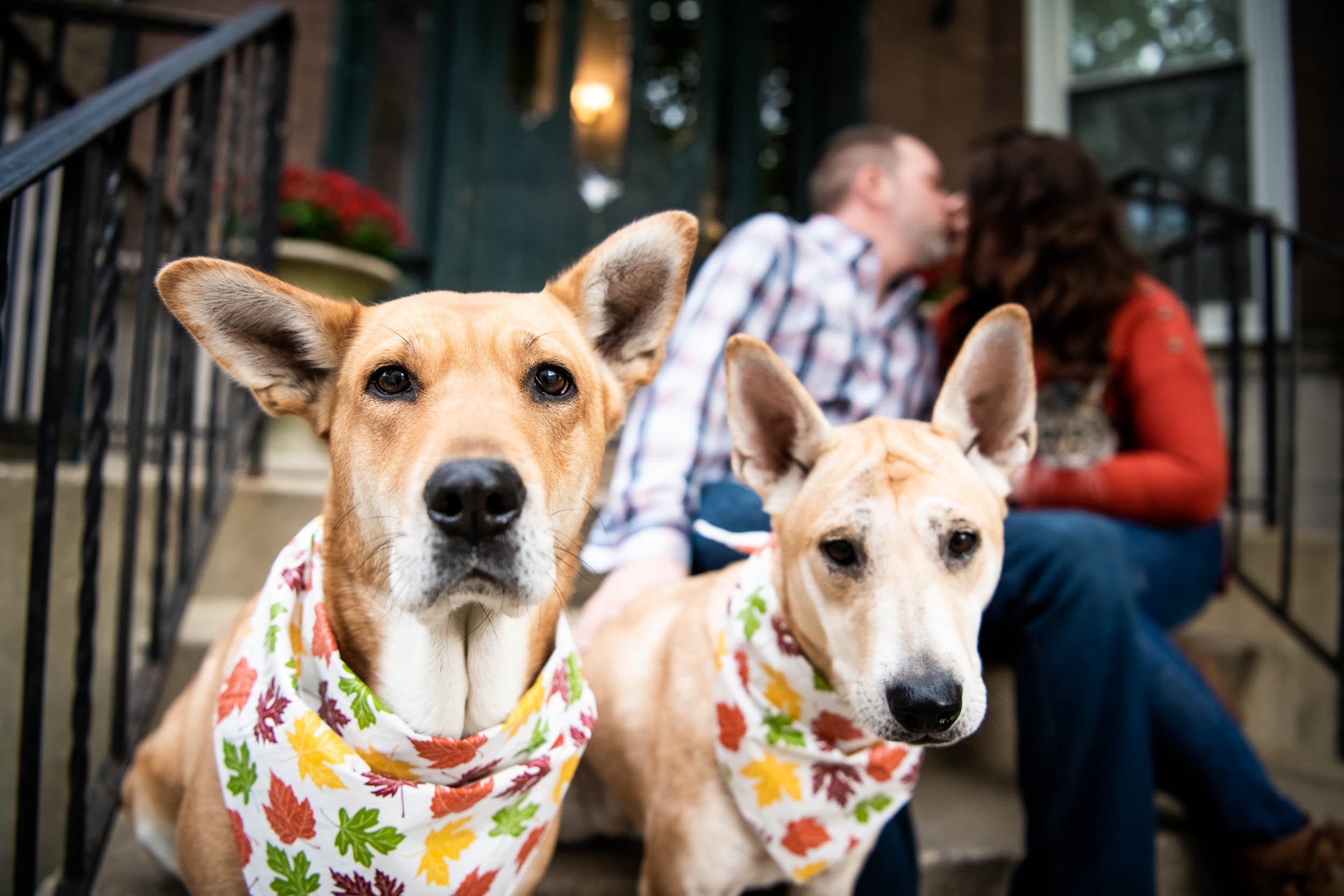 Wrigleyville | Engagement Session With Dogs | Chicago IL