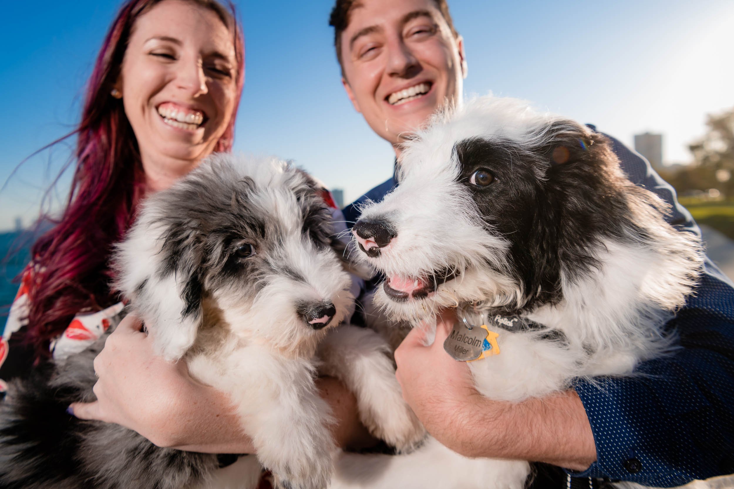 Montrose Harbor | Family Portraits With Dogs | Chicago IL