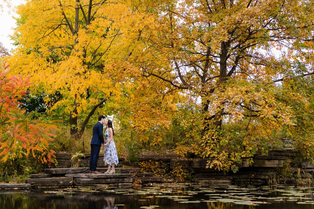 Alfred Caldwell Lily Pool | Fall Engagement Session | Chicago IL