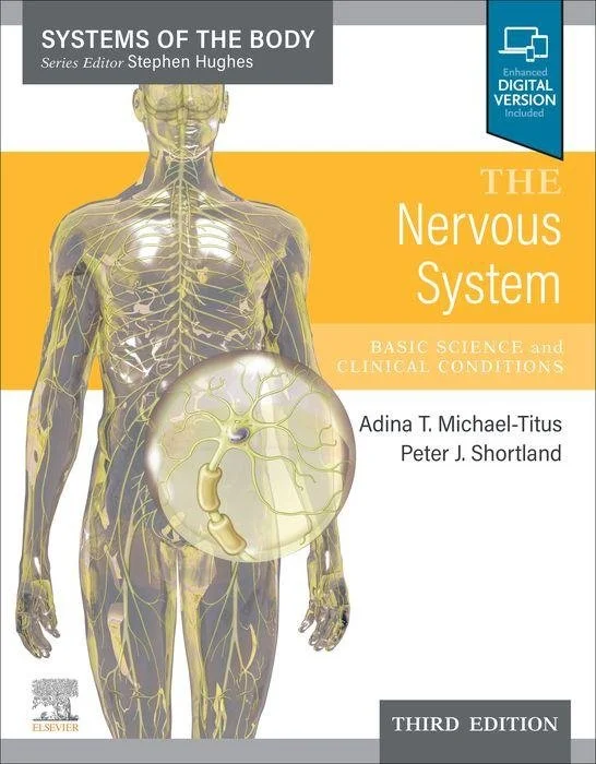 nervous system 3.jpeg