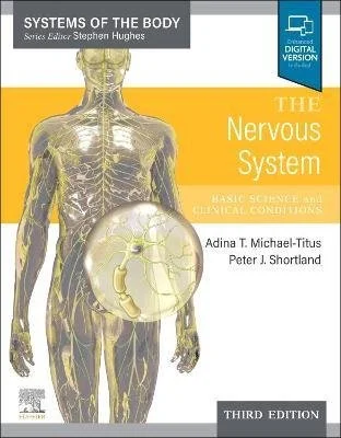 nervous system 1.jpeg