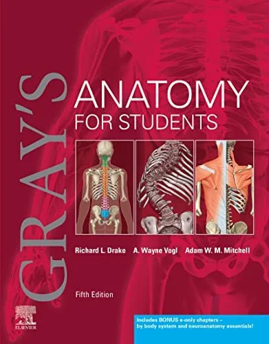 grays anatomy for students.jpeg