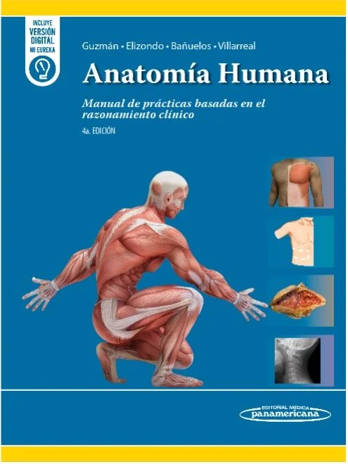 Anatomía humana en casos clínicos