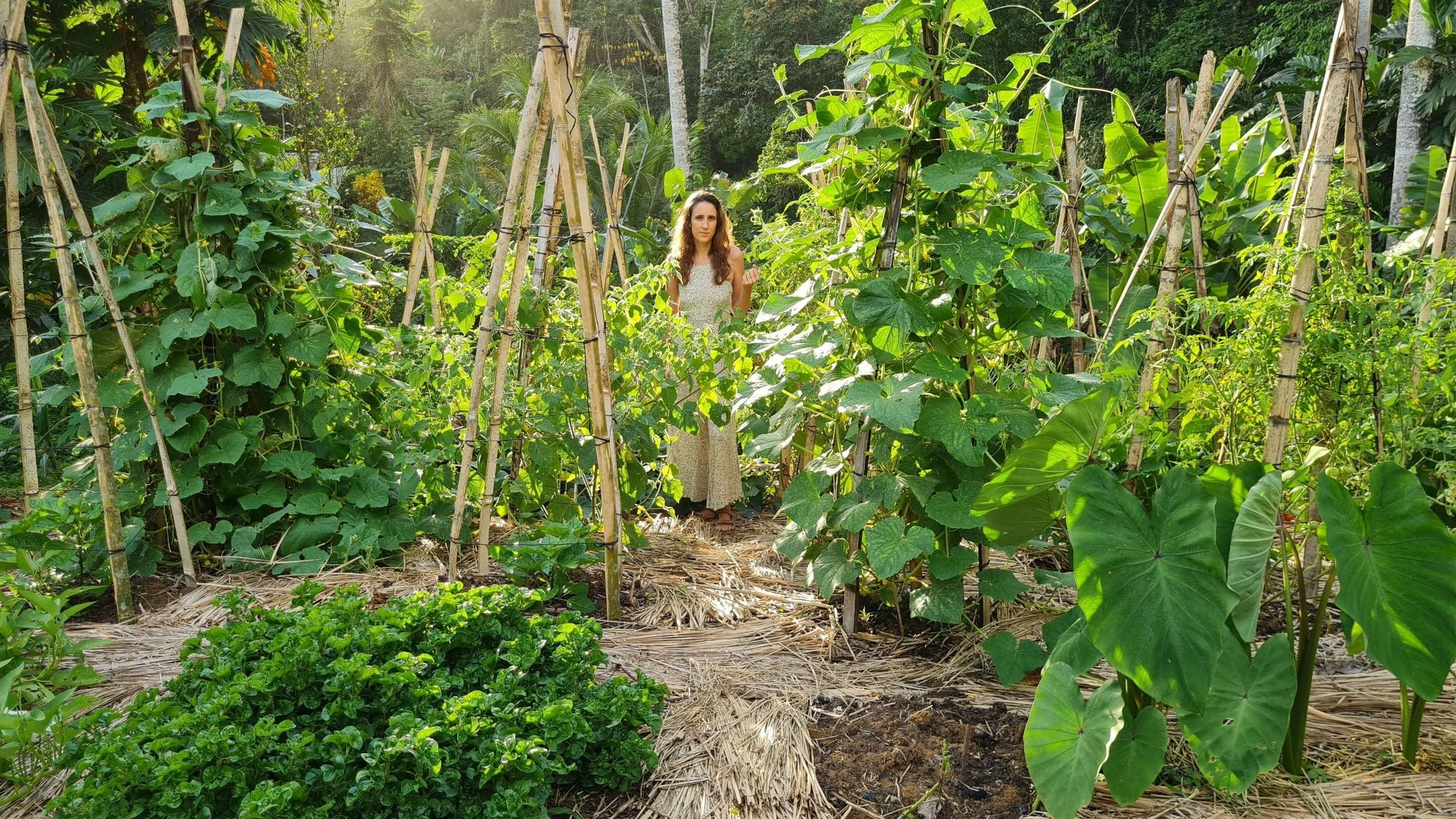 Garden session inside a working permaculture farm near Puerto Viejo, Costa Rica