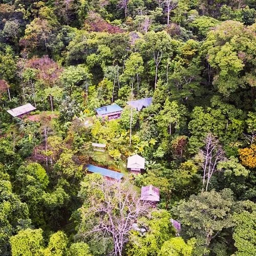 REGENERATIVE HOMESTEAD AND FOREST FARM.jpg