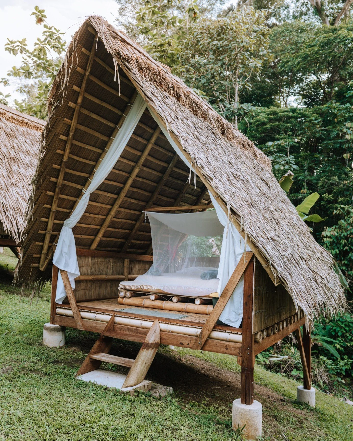 Plant &middot; Harvest &middot; Cook Retreat &mdash; Costa Rica
A week of nature, food, and tropical simplicity in the Caribbean rainforest.
Garden sessions, fire cooking, and quiet cabin living &mdash; surrounded by bamboo, green, and good food.

8 