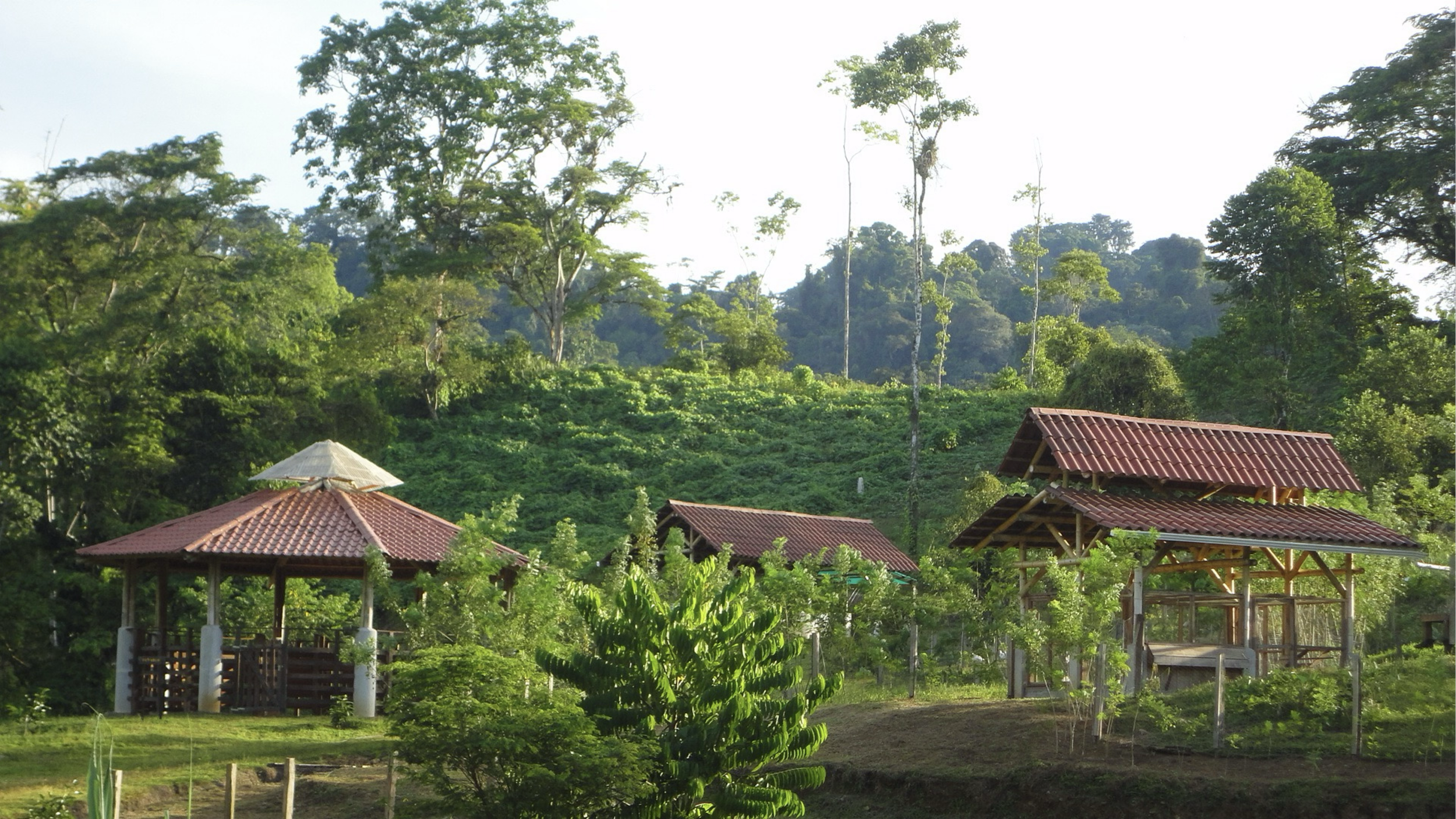 Inside SEED Ecovillage: A Working Model of Tropical Self-Sufficiency