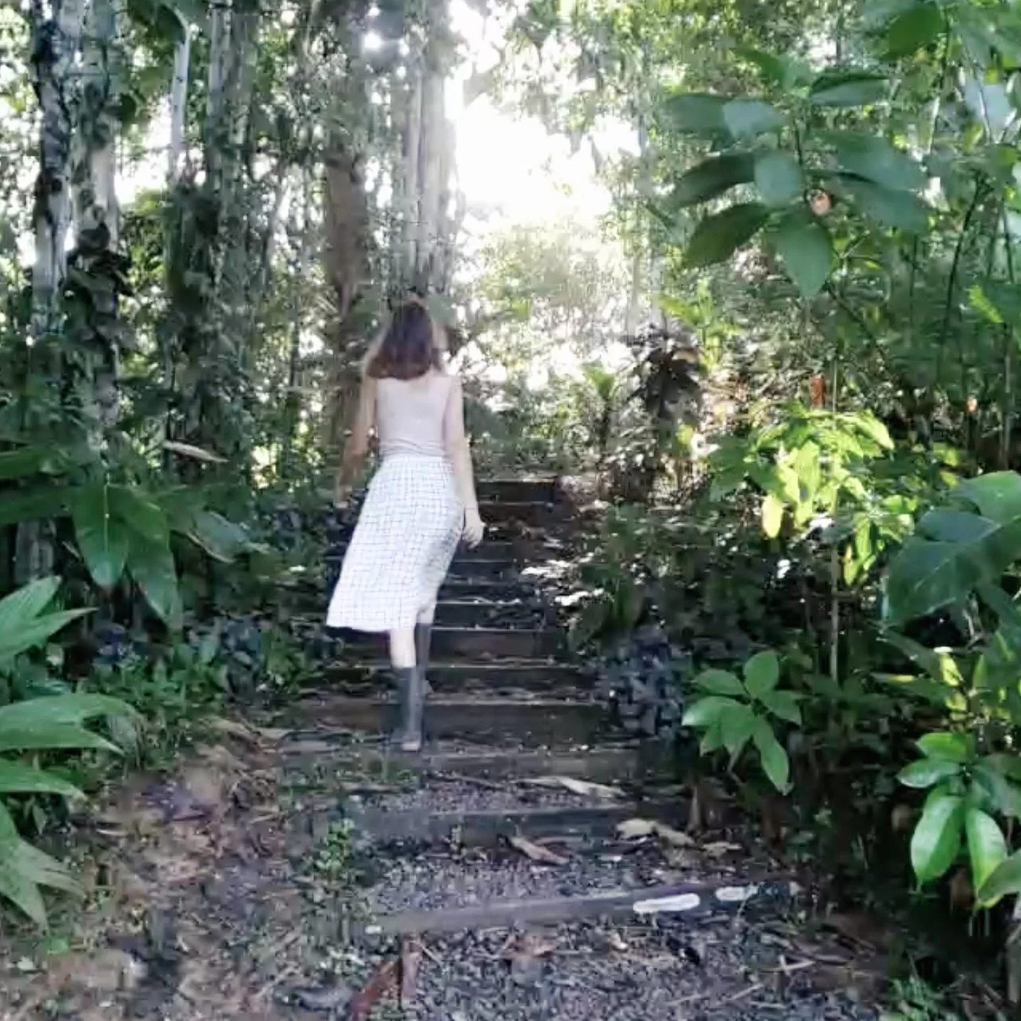 Rainforest trail walk at Finca Tierra near Puerto Viejo, Costa Rica