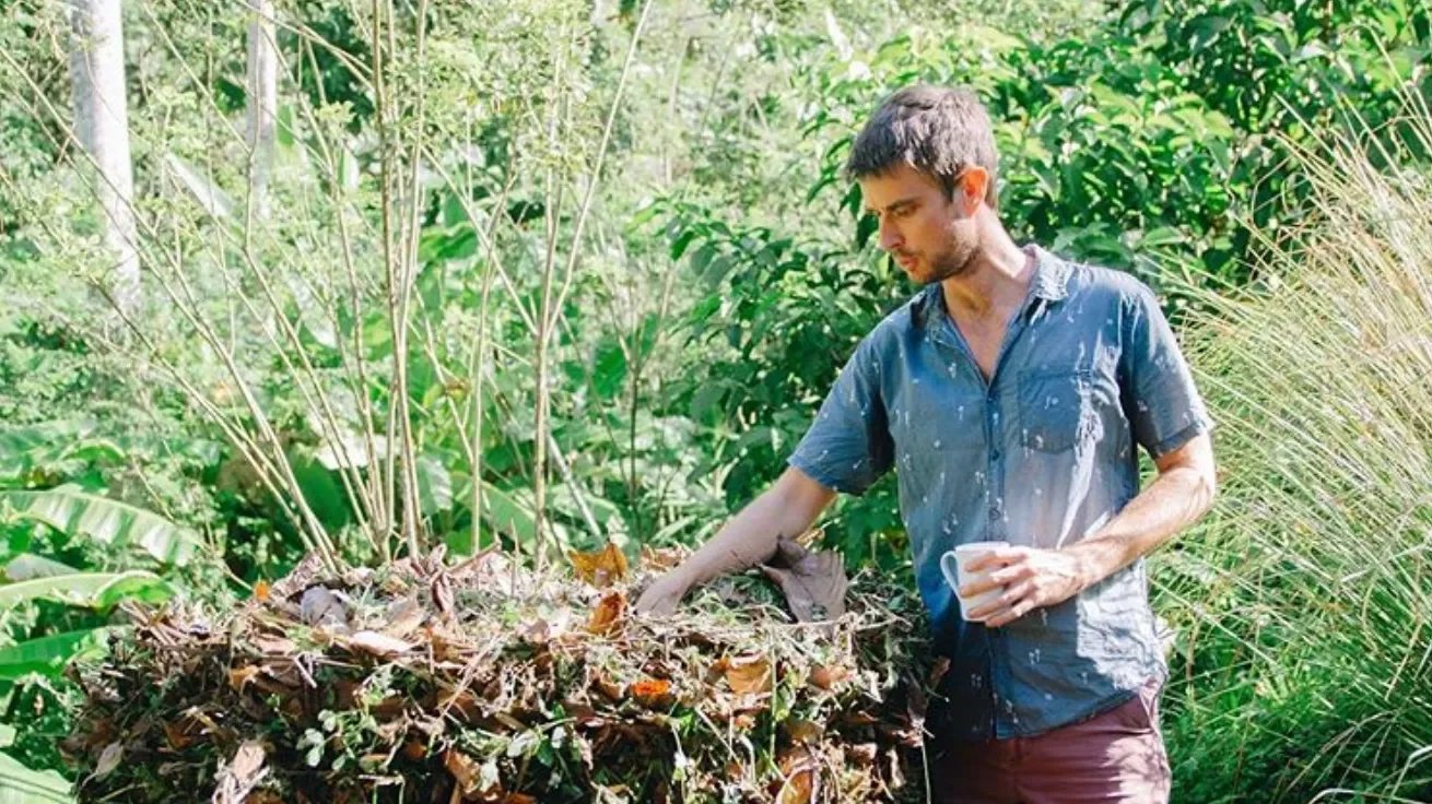 Instructor managing compost and soil fertility in a tropical permaculture system