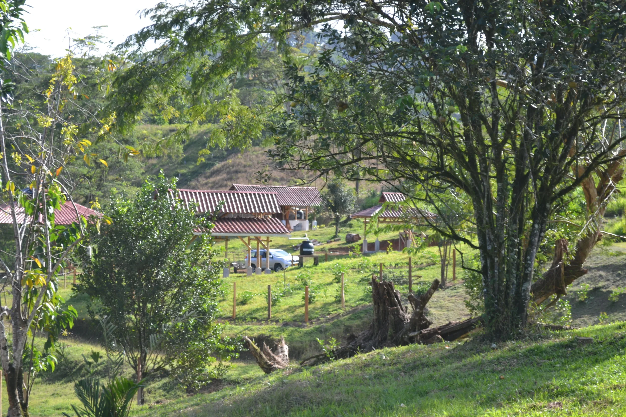 SEED Ecovillage residential area integrated into a tropical forest landscape in Costa Rica