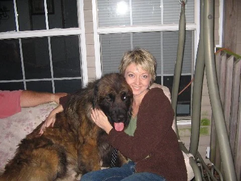 Beau, as we found him.