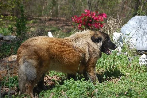 Bella Main Bio Pic.JPG