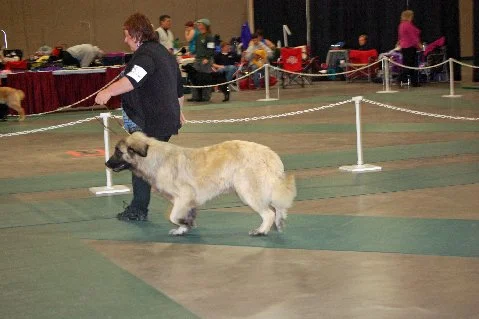 2013 Mar 29_chanda.JPG