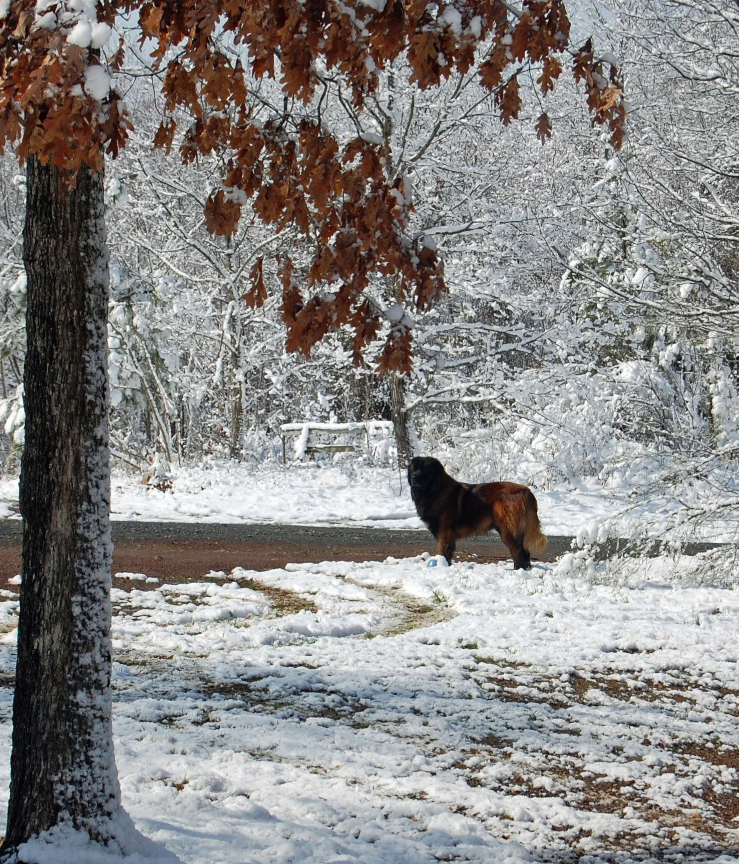 2009 03 01_1743_edited-1.JPG